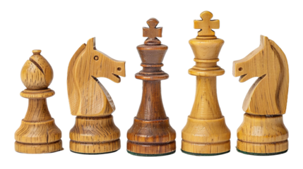 Classic Wooden Chess Set