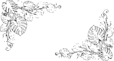 Delicate monstera leaf corner accents for elegant invitation design or tropical themed graphic project, originally scalable vector for crisp detail © Vectors Studio