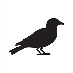 pigeon silhouette vector