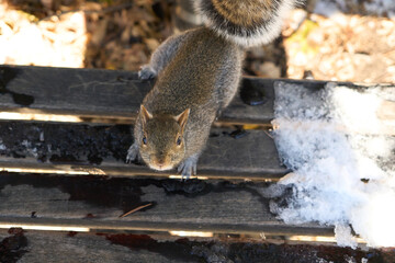 New York street photography © Jiale