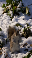 New York street photography