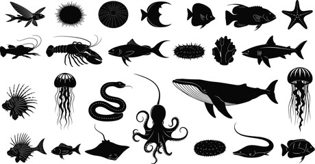 Marine life silhouettes collection, ocean animals set, fish jellyfish octopus whale icons, underwater wildlife, black and white vector illustration © Empowerment angle 