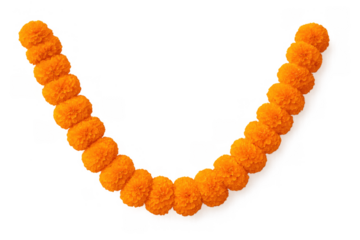 Traditional marigold garland creating a festive decoration for hindu celebrations like diwali, transparent background