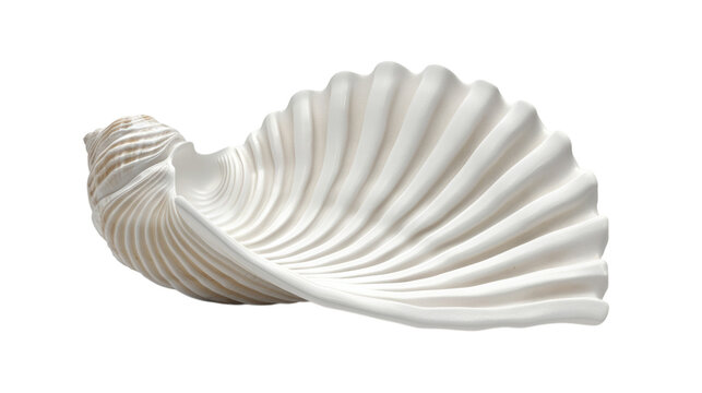 Seashell 3D render icon isolated on white background