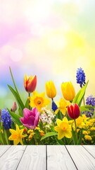 Spring flowers on a light wooden surface