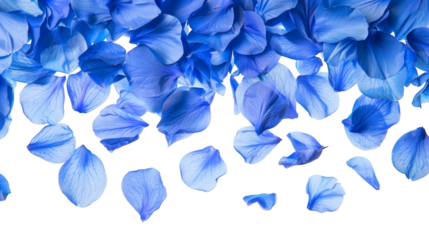 Floating blue flower petals scattered artistically isolated on a white background