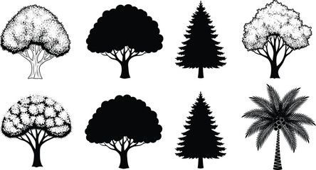 Tree illustration set, botanical elements, forest icons, foliage variety, silhouette trees, nature graphics, plant collection, tropical, deciduous, coniferous © NAIMUR