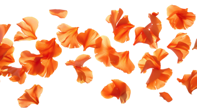 Floating orange flower petals scattered gracefully isolated on a white background - Powered by Adobe