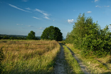 Letni popołudniowy nostalgiczny słoneczny krajobraz z pagórkami polami i zaroślami.  Lato to czas wędrówek  wśród naturalnego środowiska jakie stwarza wiejski krajobraz. © JDziedzic