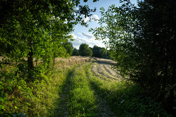 Letni popołudniowy nostalgiczny słoneczny krajobraz z pagórkami polami i zaroślami.  Lato to czas wędrówek  wśród naturalnego środowiska jakie stwarza wiejski krajobraz. © JDziedzic