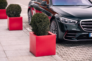 A black car is parked on a brick road near a sidewalk with red square planters containing round bushes. The scene is in a modern, urban setting.
