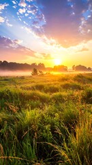 Sunrise over a misty meadow