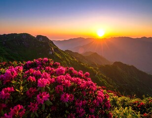 Sunrise over mountain peaks with vibrant pink flowers