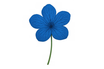 Blue flower illustration with five petals and green stem, symbolizing nature, beauty and growth, transparent background