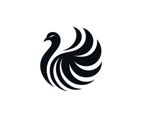 Black swan logo design