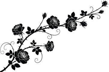 Black roses on a vine with leaves and thorns © Khaleda