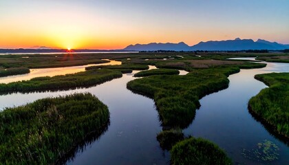 Sunrise over a tranquil marsh