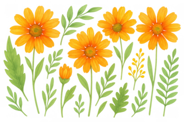 Blooming yellow orange watercolor flowers with green leaves and a bud, botanical garden elements on transparent background