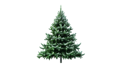 Green Christmas tree 3D render icon isolated on white background