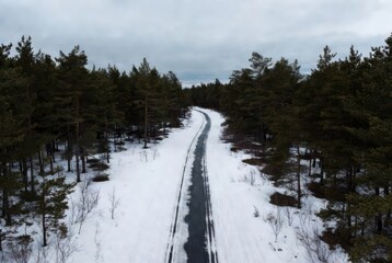 Snowy forest road with ski tracks under cloudy winter sky