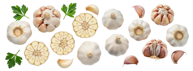 Whole and sliced fresh garlic bulbs paired with green parsley sprigs on a transparent background representing healthy cooking and organic seasoning
