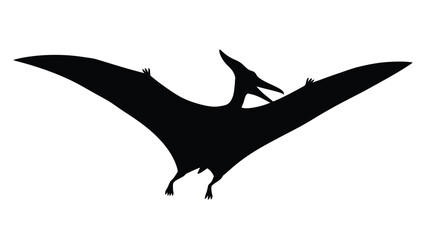 Black silhouette of a pterosaur flying with wings spread wide