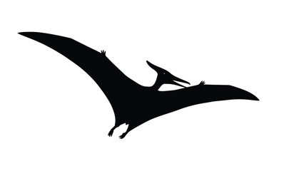 Silhouette of a Pterosaur Flying in the Sky prehistoric animal © Salman