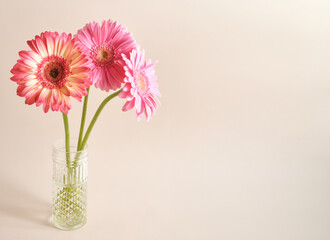 Pink gerbera daisies arranged in clear glass vase on warm beige background with large empty copy space on the right, horizontal floral still life, copy space.