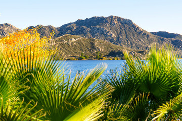 Lake Perris With Autumn Trees And Rocky Mountain