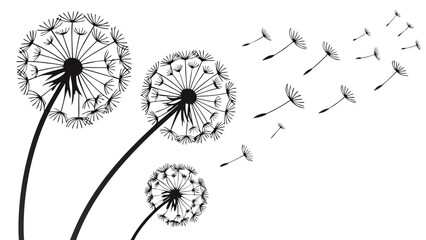 Dandelion seeds dispersing in the air Vector