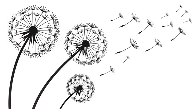 Dandelion seeds dispersing in the air Vector