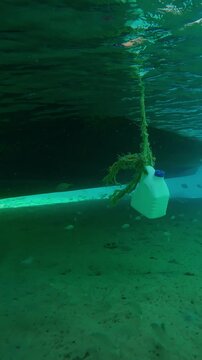 Vertical footage, A motorboat stands over sandy bottom in a bay, in its shadow swim school of Strongspine silver-biddy, Gerres longirostris on bright sunny day, underwater view