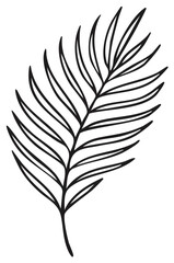 Obraz premium Minimalist hand drawn palm leaf line art illustration