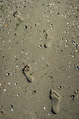 Footprints on the sandy beach