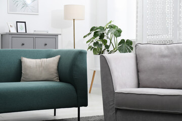 Monstera houseplant and stylish furniture at home. Interior design © New Africa