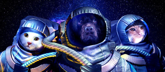 Team of astronaut animals in space. Banner design