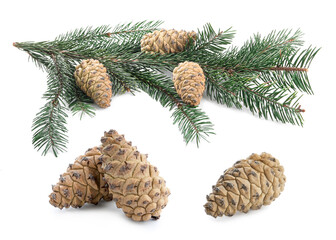 Fir tree branches and cones isolated on white, set