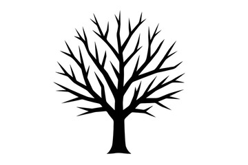 Obraz premium Tree silhouette with bare branches, representing winter, nature, seasonality, growth, and the environment. Transparent background