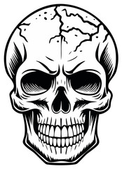 Obraz premium Cracked Skull Vector Art, Detailed Black and White Anatomical Illustration, Graphic Skeleton Head