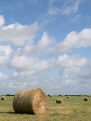 Close Up of a Large Round Bale of Hay with Multiple Hay Bales in the Background and Cloudy Sky Above