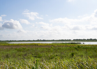 Marshland Nature Preserve with Lush Green Grass and Warren Lake