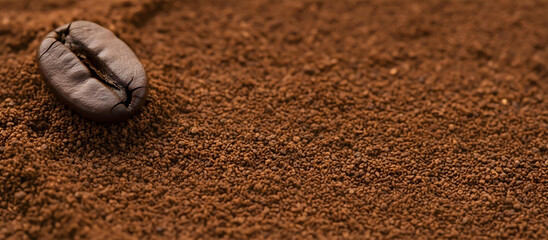 Detailed image of a whole roasted coffee bean on a pile of freshly ground coffee.