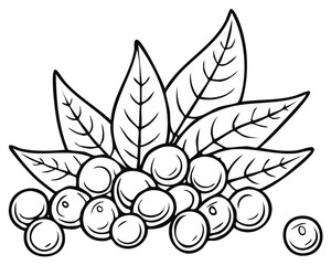 Fototapeta premium Outline Image of Round Berries with Leaves Simple Black and White Drawing for Coloring
