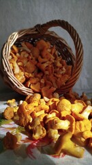A beautiful basket full of chanterelles stands in a forest clearing.
A wicker basket filled with freshly picked golden chanterelles stands in the forest. Warm natural light highlights the mushrooms' v