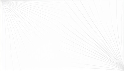 Abstract white background with palm leaf shadows