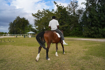 Man riding a brown horse on a grassy field during a sunny day in the countryside
