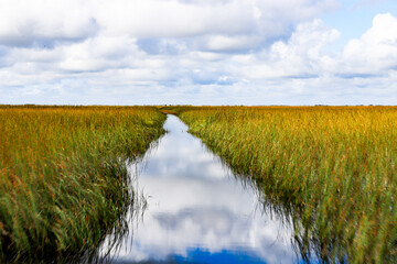 a channel in the everglades of Florida