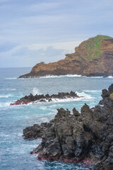 Coastal Cliffs with Flowers and Atlantic Ocean