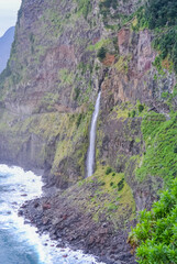 Coastal Cliffs with Flowers and Atlantic Ocean