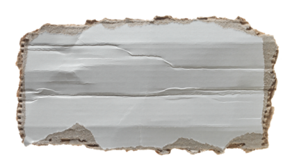  Blank, ripped cardboard scrap isolated on white background, clipping path